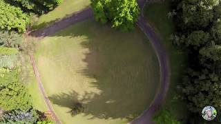 When In Doubt Throttle Out, Going Blind