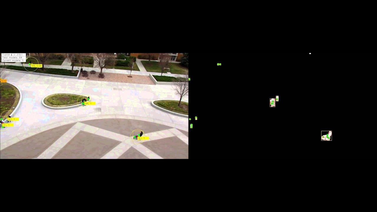 Pedestrian Video Results with the Optimum Velocity Method