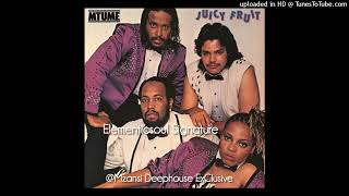 Download Lagu Mtume - Juicy Fruit(Elementicsoul Signature) MP3