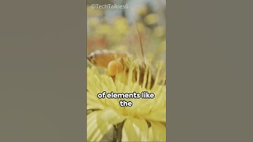 Redefining Industries: A Close-Up on the Future of Robotics #technology #robotics #tech