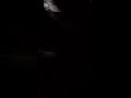 ASMR in the dark 🎧 what else would you like to see✨