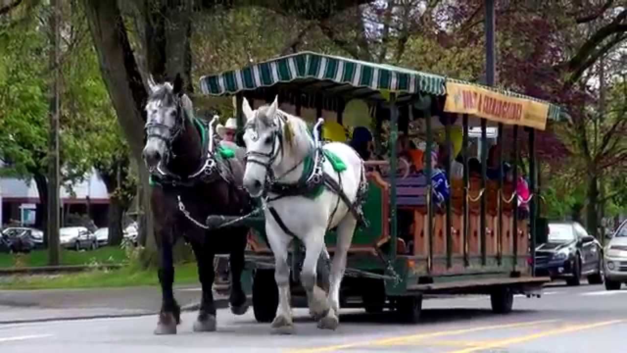 stanley park horse drawn carriage