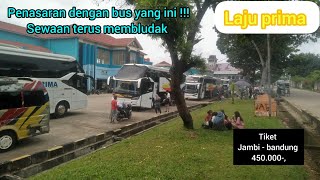 Laju Prima jambi, berangkat kan 3 unit bus perhari nya// jambi - bandung