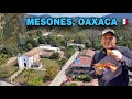 Video de Mesones Hidalgo