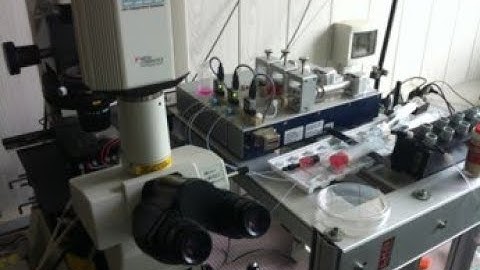 Микрофлюидика – лаборатория будущего на ладони. 7.11.2020