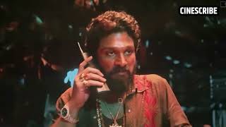 Pushpa 2 The Rule Full Movie Explained In Hindi