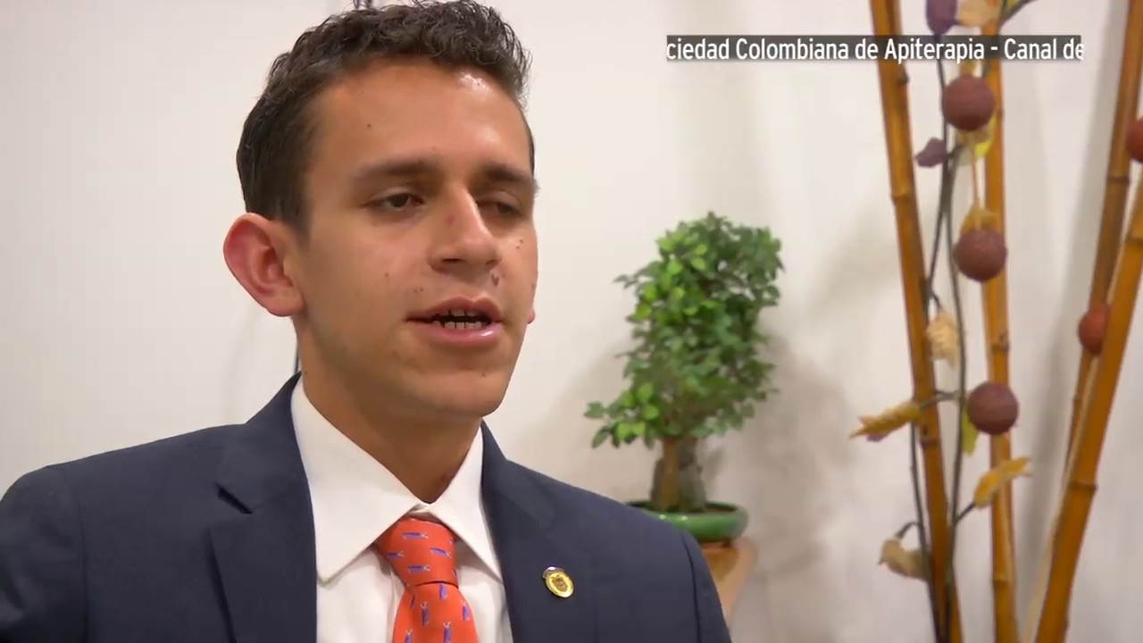 Apiterapia, un tratamiento que ayuda a curar enfermedades.