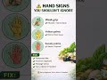 Hand Signs You Should NEVER Ignore ⚠️ (Early Health Warnings)