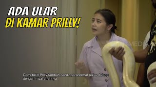 Prilly Latuconsina PANIK, Ada Ular di Kamarnya! | BIKIN PANIK (09/01/22) Part 1