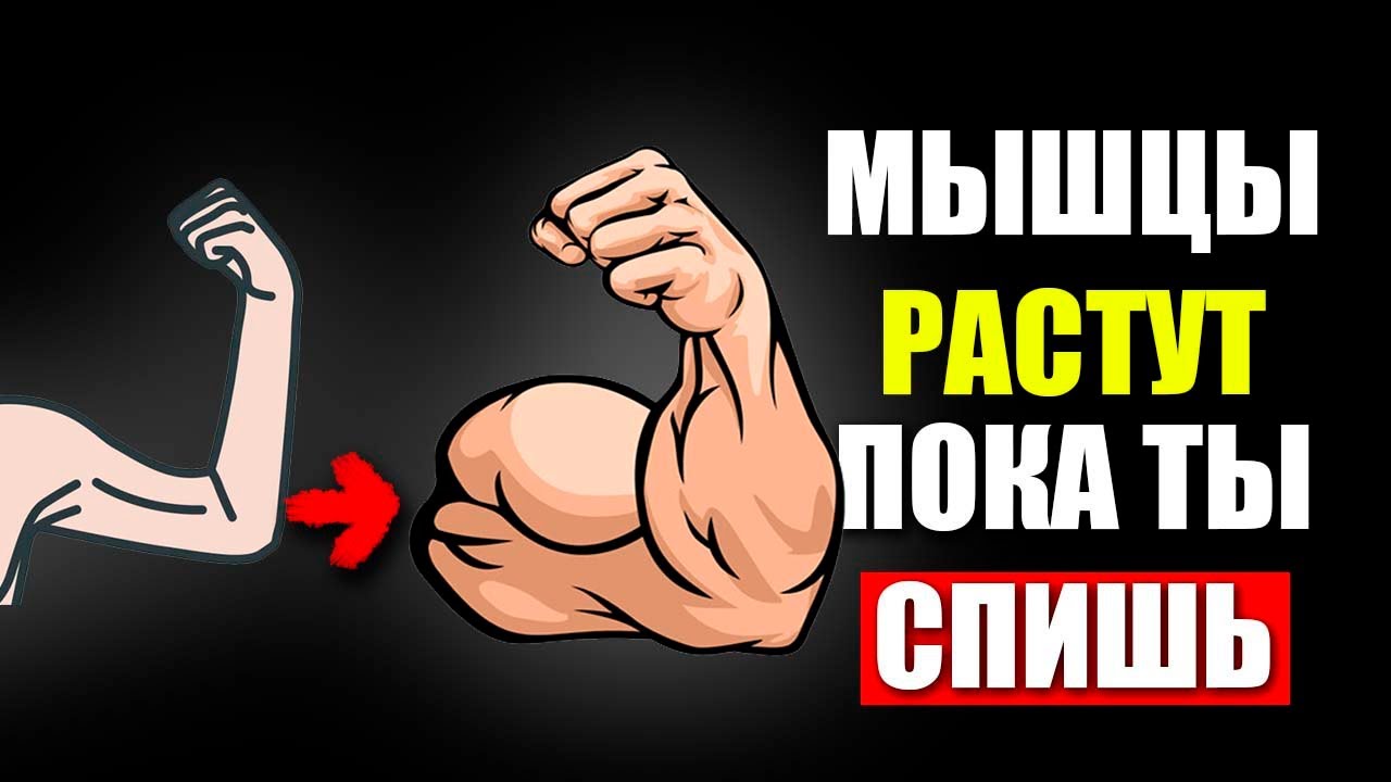 ������ �������� ��������: ����.