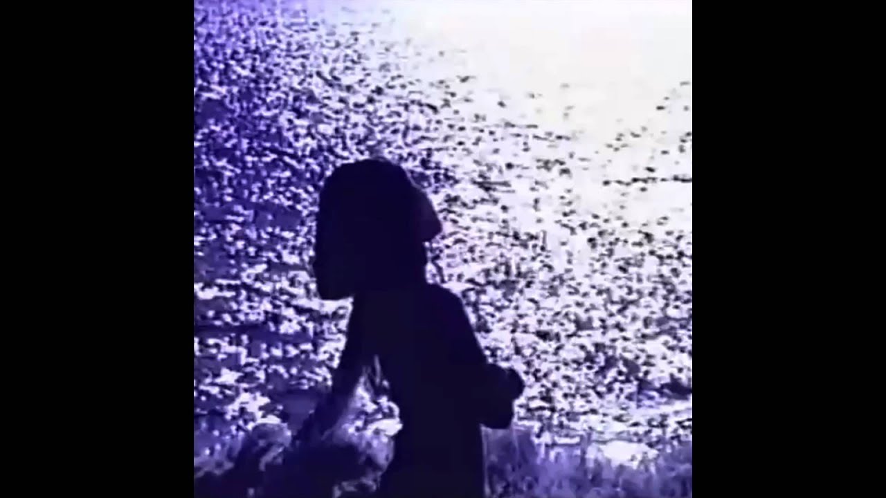 仮想夢プラザ : 再びお会い