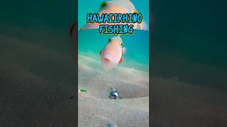 SMALL FISH SYNDROME! 🎣🐟😂 #funny #wtf #fishinghawaii #hawaiirhinofishing #gofishcam #dunkingoahu