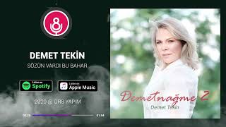 Sözün Vardı Bu Bahar - Demetnağme 2 - Demet Tekin Resimi