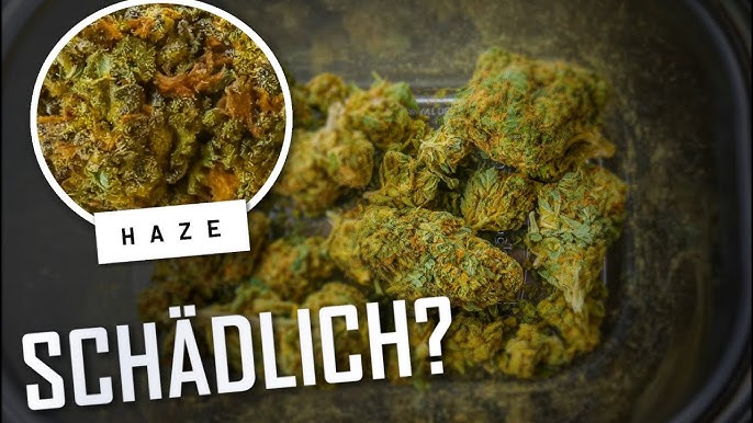 JOINT, EDIBLES, VAPORIZER - Die Unterschiede