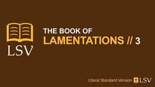 Lamentations 3 // LSV Human Reader // Great Is Your Faithfulness