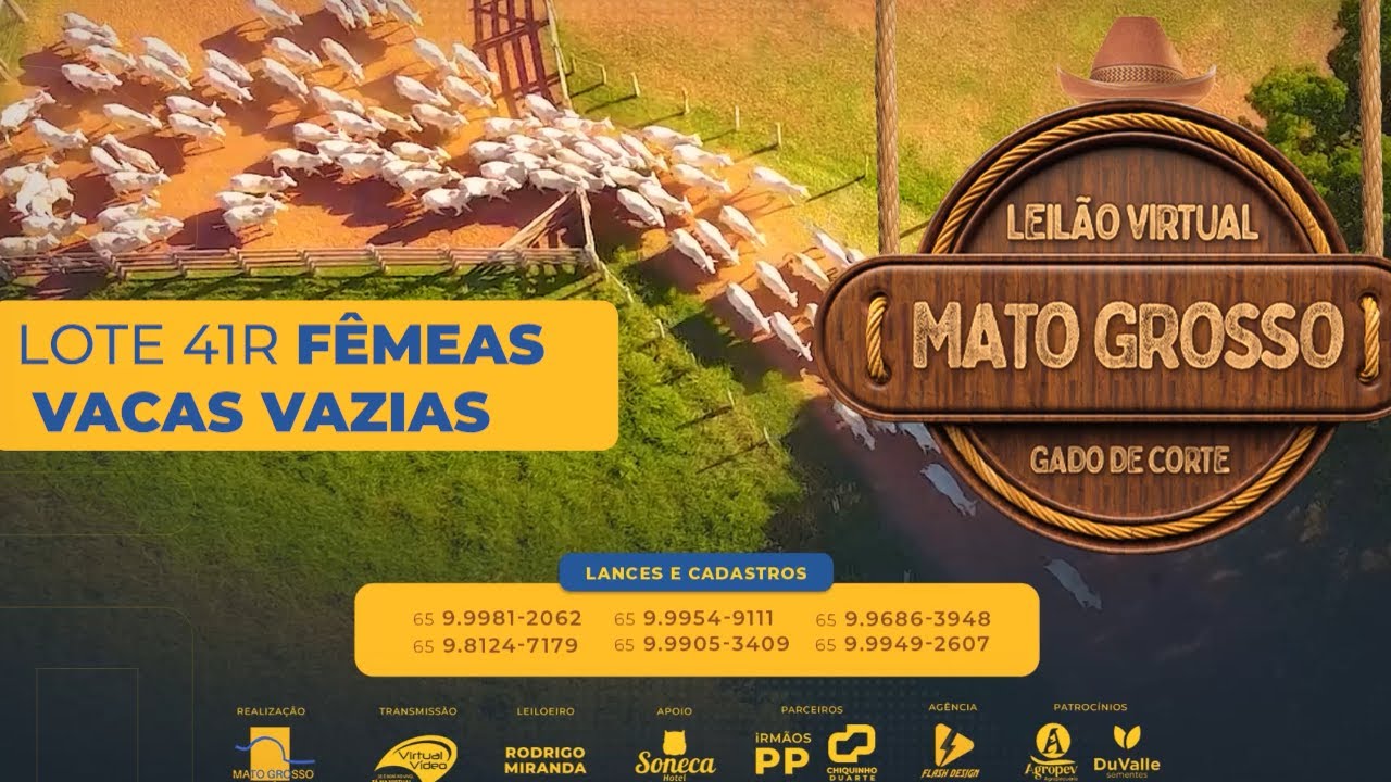 LOTE 41R 06 F MEAS NELORE VAZIAS 36 MS YouTube lote-41r-06-f-meas-nelore-vazias-36-ms-youtube
