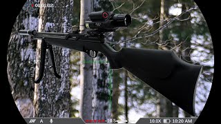 Pinty Vanguard .177 Testing Pellets And Slugs At 31 Yards