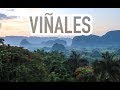 Viñales y la ruta del tabaco / Cuba Vlog 4