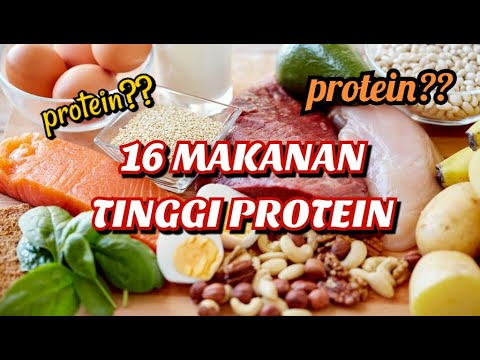 Video: Makanan Yang Tinggi Protein