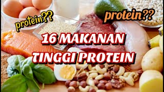 16 MAKANAN TINGGI PROTEIN