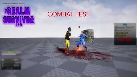 Realm Survivor Combat Test (Mannequin Build)