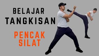 Tangkisan Pencak silat || Materi Online PJOK