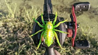 Testing Out a Spider Fishing Lure!/Is It Any Good? 