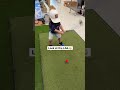 First Look At The Toddler Golf Club Everyone S Talking About 