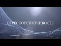 Прокачиваем стрессоустойчивость. Часть 1.