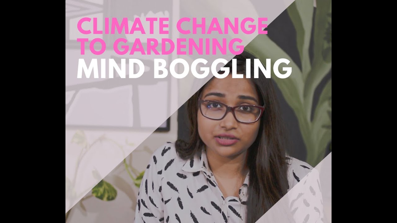 Climate Change to Gardening - YouTube