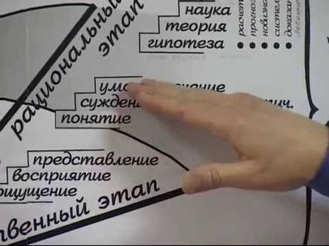 Обществознание - Опорный конспект