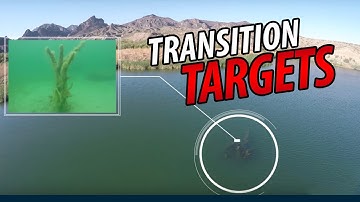How To Fish Swim Jigs in Transition Areas: Lucky Tackle Box Tips