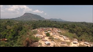 Reddliberia Forest Management By The People For Local Livelihoods And Environmental Services