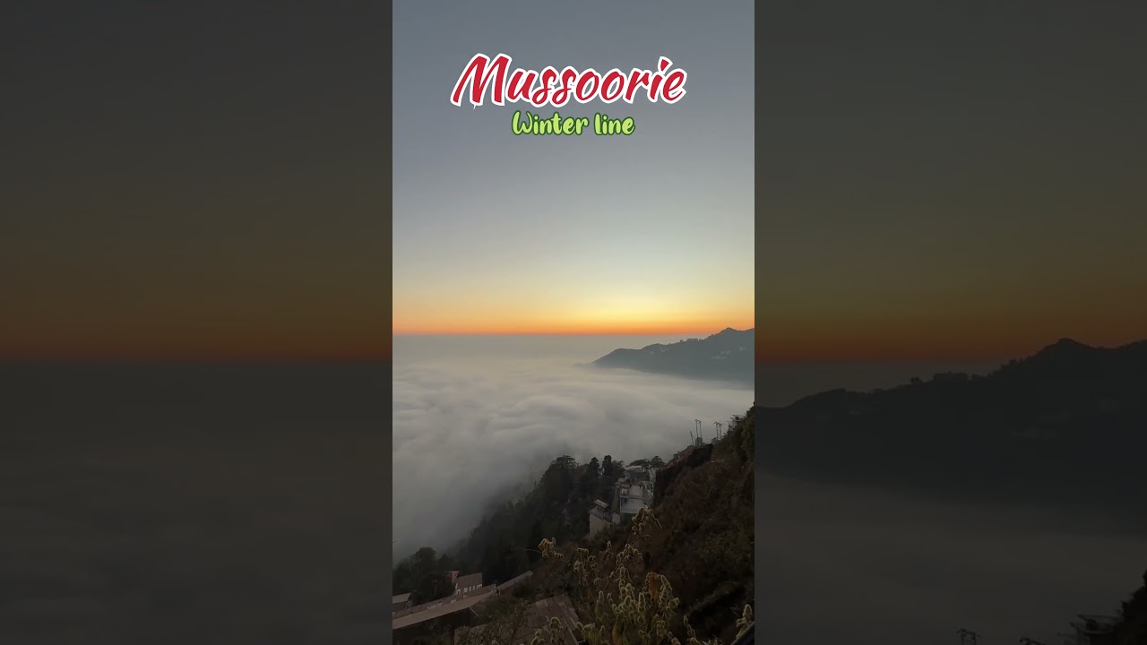 Зимняя коллекция Муссори 