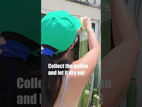 Play product video