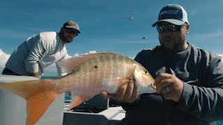 Guidelines  Shallow Water Mutton Snapper Fishing