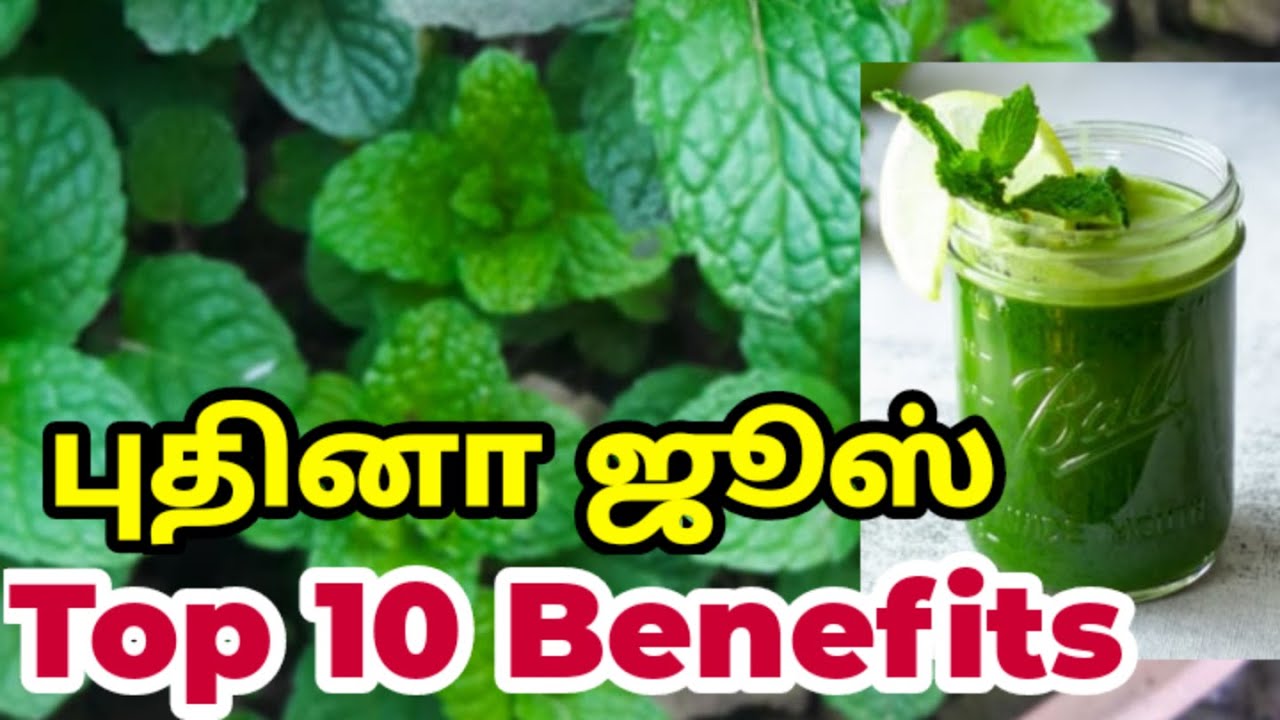 புதினா ஜூஸ் பயன்கள் mint juice benefits in tamil pudina juice in