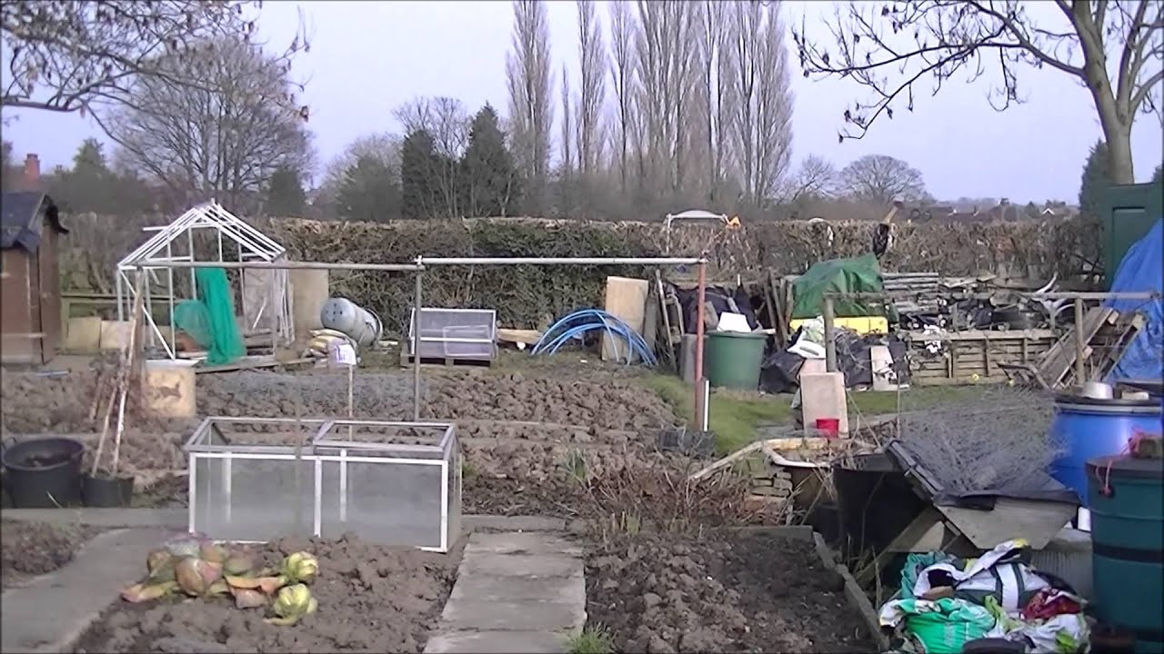 Allotment Journal - March update.