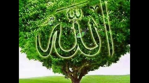 سورة الإنسان بصوت طفل المجهول