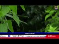 কেরালা ও মাহেতে ভারী বৃষ্টির কমলা সতর্কতা জারি