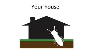 Termikill - How the termite control system works