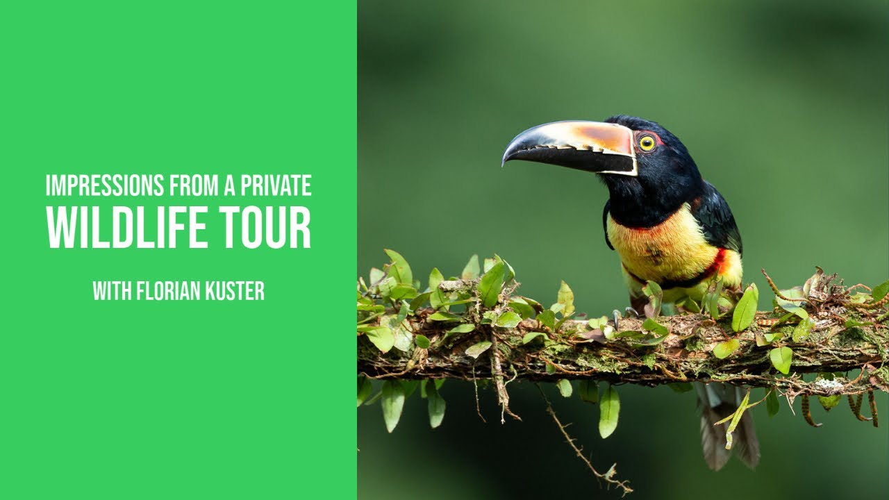 Private Photography Tour through Costa Rica