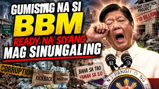 Gising Na Si Bbm Handa Nanaman Siyang Mag Sinungaling