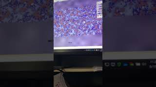 Digital cytology