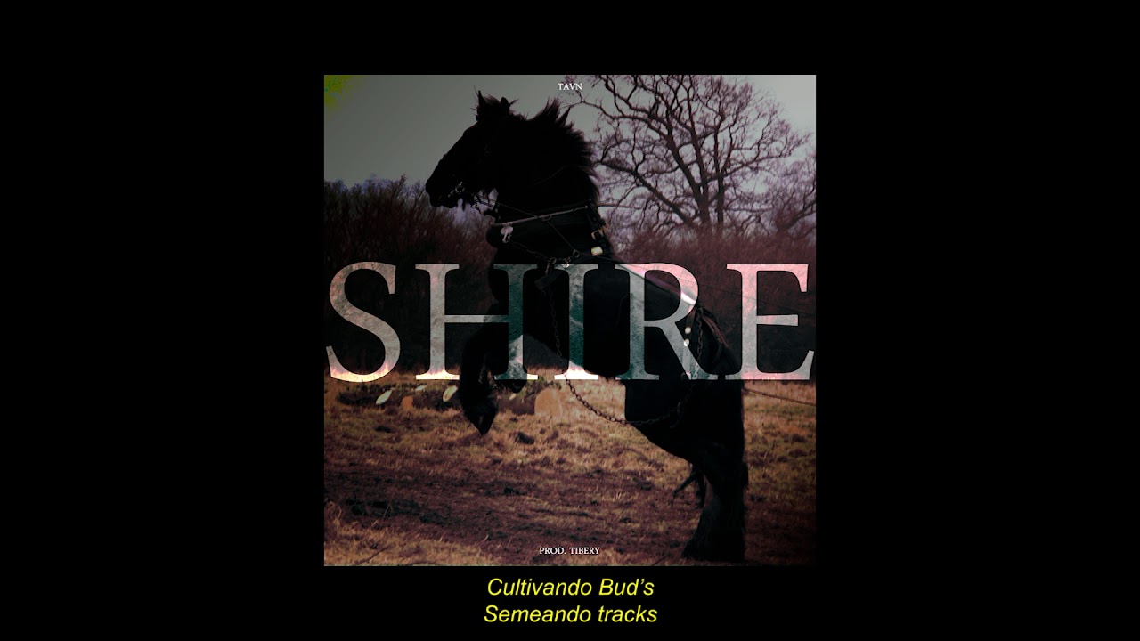 TAVN - Shire (Prod. Tibery)