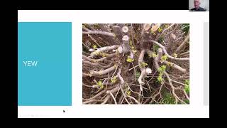 Aftercare for Collected Bonsai Material Part 1