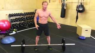 Fringesport - One Fit Wonder Bumper Plates - No Taco 10s REVIEW