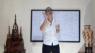 E58.Bilirubin And Urobilinogen In Urine هو ازاى اتكونوا فى جسم الإنسان