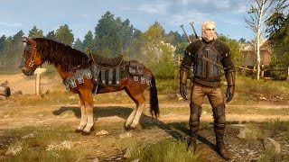 Temerian Armor Set Dlc witcher 3  Geralt And Roach