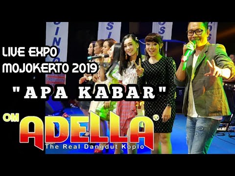 APA KABAR rhoma irama \u0026 elvy sukaesih @ lagu dangdut
